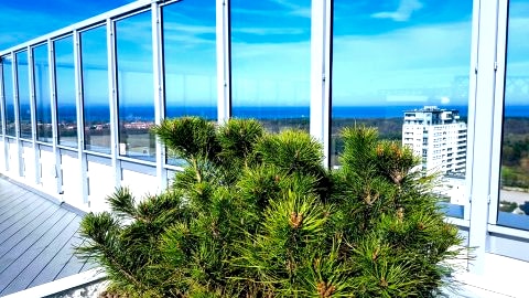 Niesamowity widok z 18 piętra na morze oraz panoramę Trójmiasta-wyłącznie dla mieszkańców