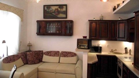 Salon z aneksem kuchennym