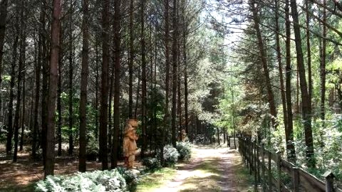 Rezydencja Jana  - Dom na wyłączność w sercu Kaszub z dala od zgiełku