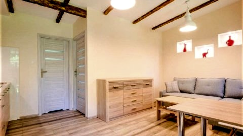 salon w apartamencie kameralnym