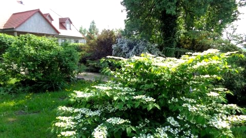 Rawiczówka