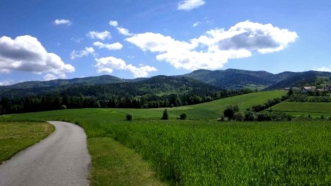 Wiosna widok z okna