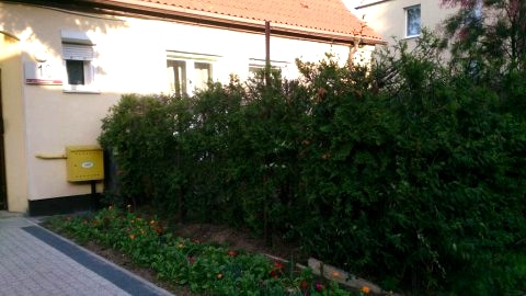 widok ogólny zewn obiektu