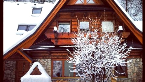 Willa Jaworzyna. Apartament z 2 sypialniami. Niby w lesie, a w sercu miasta. 