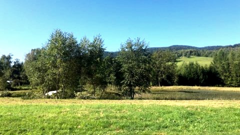 Z sercem w Bieszczady | Domki całoroczne z ogrzewaniem podłogowym