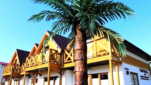 Tropikana Domki Apartamentowe