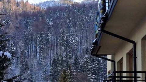 Apartament CIEŃ GIEWONTU | 200 m od wyciągu