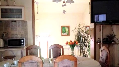 hol z aneksem