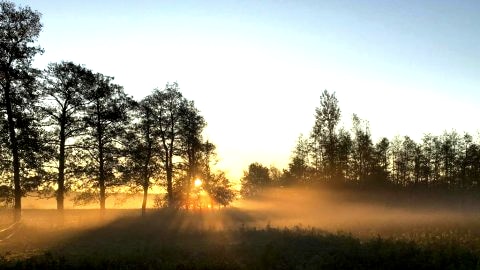 Stajnia Alado - Gospodarstwo Agroturystyczne