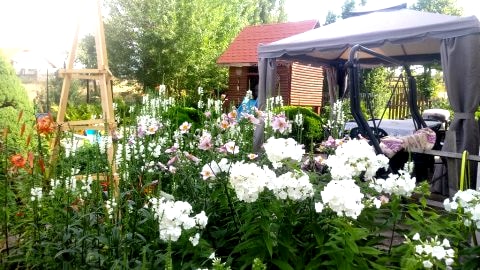 Ostoja u Moni.Cały dom(100m2 i działką 1500m2) do waszej dyspozycji. 