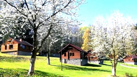 Złoty Potok Resort nad Jeziorem Złotnickim