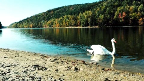 Złoty Potok Resort nad Jeziorem Złotnickim