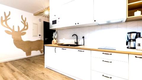 Apartamenty ApartHost Centrum Zakopane