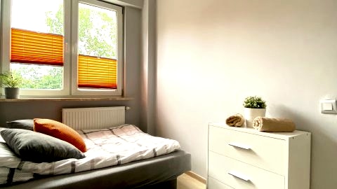 Sunny room