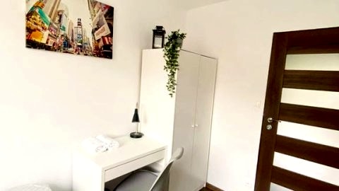 Sensational room