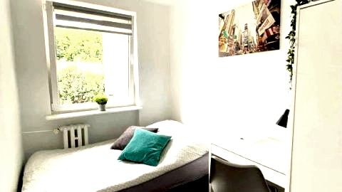 Sensational room