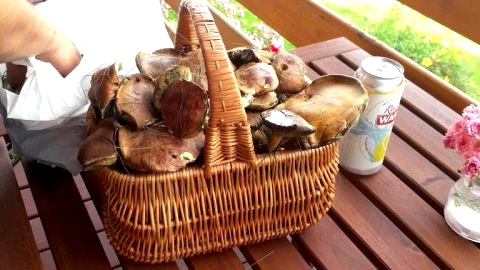W sercu Gór Sowich - Narbuttowka 