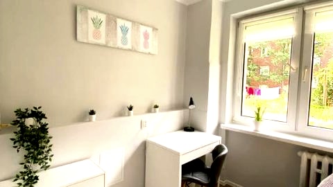 Pineapple room