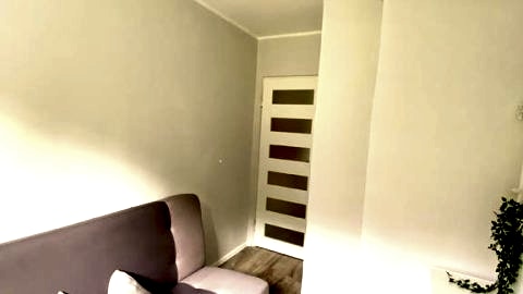 Pineapple room
