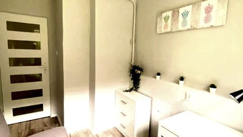 Pineapple room
