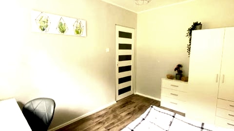 Cactus room