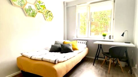 Cactus room