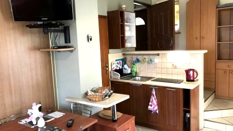 dwupokojowy artament-studio 3 osobowy (cena za apartament)