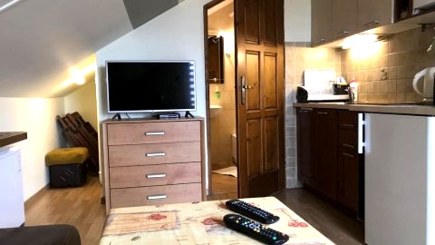 dwupokojowy artament-studio 4 osobowy (cena za apartament)