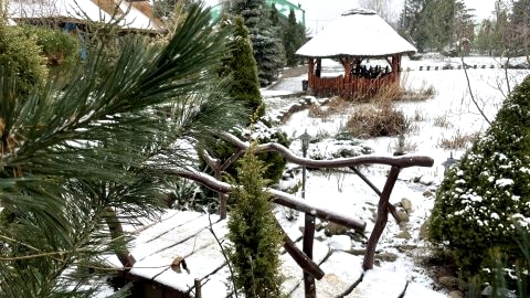 Agroturystyka na Mazowszu, pośród sadów owocowych 