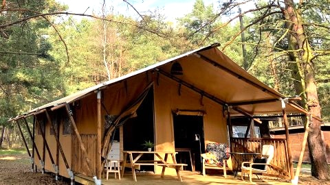 Camp Bursztynowy Las
