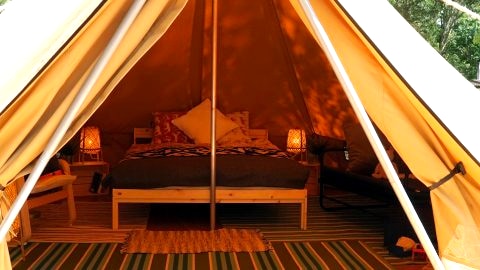 Camp Bursztynowy Las