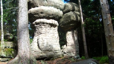 okolica