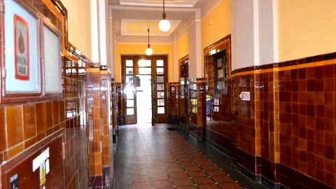 LEMON TREE HOSTEL