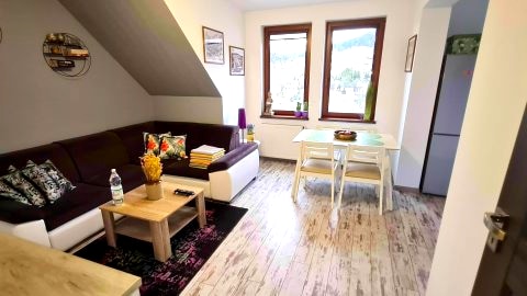Apartament przy Źródełku | 45 metrów wygody i relaksu