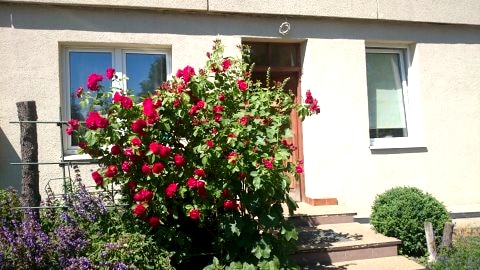 kawalerka 24m2 po remoncie Gdańsk Oliwa