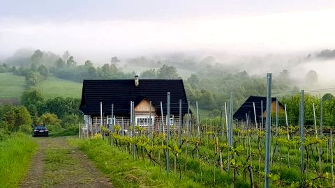 Utopia Dom przy winnicy