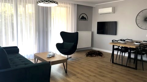Salon z aneksem kuchennym