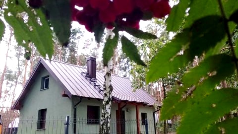 Lawendowa Przystań Perkowo
