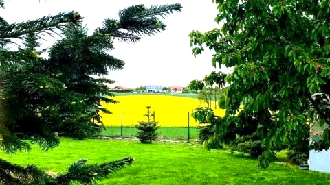 Noclegi Czarnków | dobra lokalizacja, spokój, relaks 