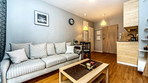 salon z aneksem kuchennym