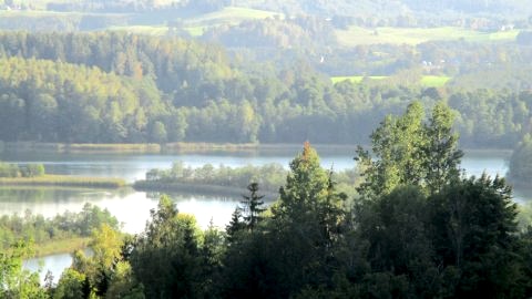  DWOREK  TELIMENA w otoczeniu jezior i gór  na 0,5 ha w lesie