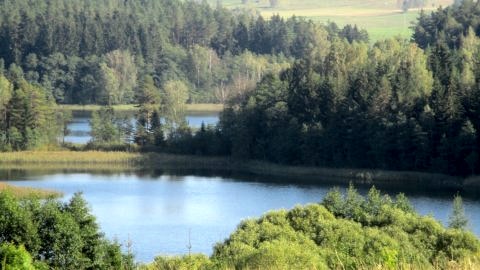  DWOREK  TELIMENA w otoczeniu jezior i gór  na 0,5 ha w lesie