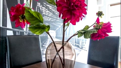 Apartamenty CHMIELNA - CENTRUM