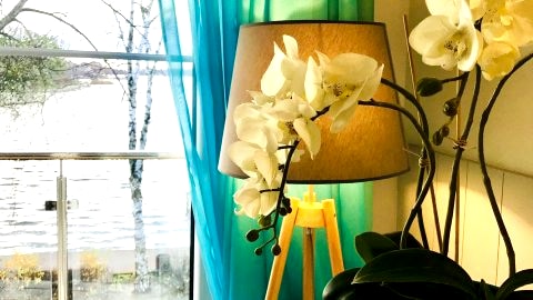 Apartamenty MoLoo z widokiem na jezioro
