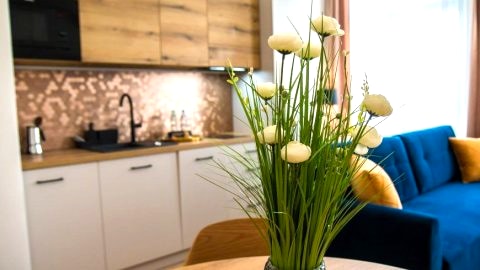 Apartament Miedziany Jagiellończyka
