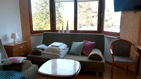 APARTAMENT SKALNY