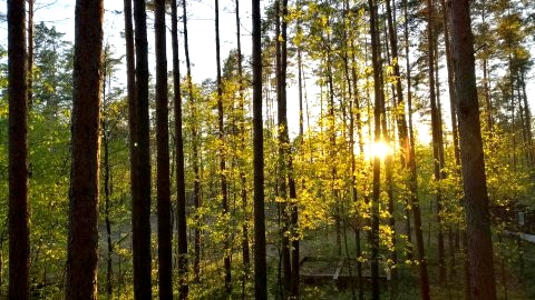 Domki Sasek Mazury