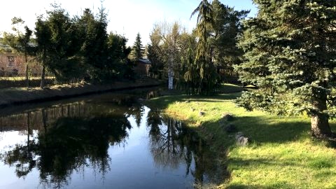 Noclegi w przytulnym domu na skraju Trójmiasta i Kaszub