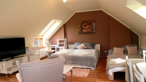 Apartament Vistula