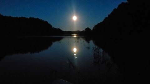 Kaszuby nad jeziorem Płęsno